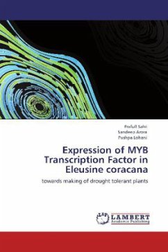 Expression of MYB Transcription Factor in Eleusine coracana