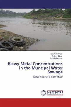 Heavy Metal Concentrations in the Muncipal Water Sewage