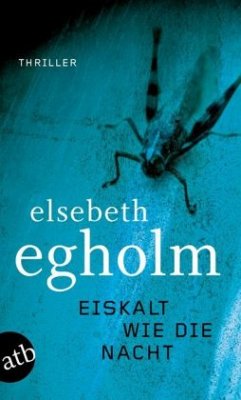 Eiskalt wie die Nacht / Dicte Svendsen ermittelt Bd.3 - Egholm, Elsebeth