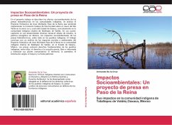 Impactos Socioambientales: Un proyecto de presa en Paso de la Reina - De la Cruz, Armando