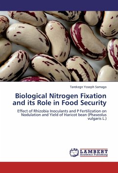 Biological Nitrogen Fixation and its Role in Food Security