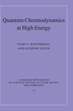 Quantum Chromodynamics at High Energy - Kovchegov, Yuri V.; Levin, Eugene