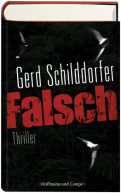 Falsch / John Finch Bd.1 - Schilddorfer, Gerd