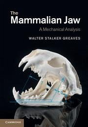 The Mammalian Jaw - Greaves, Walter Stalker
