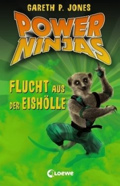 Flucht aus der Eishölle / Power Ninjas Bd.3 - Jones, Gareth P.