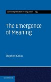 The Emergence of Meaning