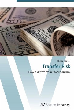 Transfer Risk - Hauger, Philipp