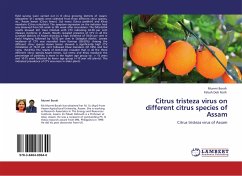 Citrus tristeza virus on different citrus species of Assam - Borah, Munmi;Deb Nath, Palash