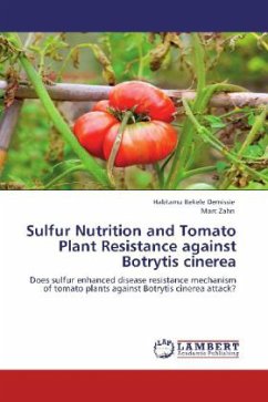 Sulfur Nutrition and Tomato Plant Resistance against Botrytis cinerea