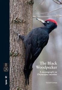 The Black Woodpecker : a monograph on Dryocopus martius - Gorman, Gerard