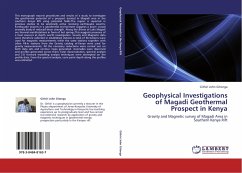 Geophysical Investigations of Magadi Geothermal Prospect in Kenya