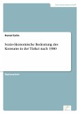 Sozio-ökonomische Bedeutung des Konsums in der Türkei nach 1980