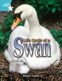 Rigby Star Independent Year 2 Turquoise Non Fiction Life Cycle of a Swan Single Rigby Star Independent Year 2 Turquoise Non Fiction Life Cycle of a Swan Single