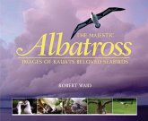 Majestic Albatross of Kauai Majestic Albatross of Kauai