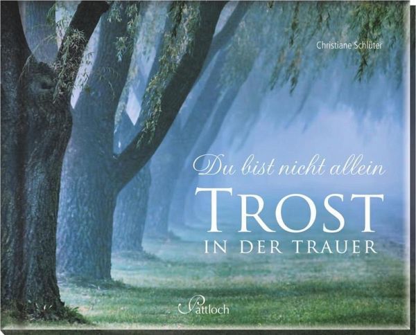 Du bist nicht allein - Trost in der Trauer von Christiane Schlüter ...