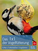 1 x 1 der Vogelfütterung