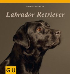 Labrador Retriever - Schlegl-Kofler, Katharina