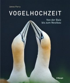 Cover Vogelhochzeit