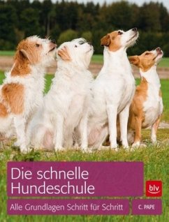 Cover Die schnelle Hundeschule