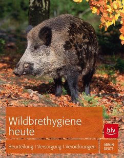 Wildbrethygiene heute - Deutz, Armin
