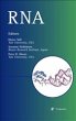 RNA - Bild 1