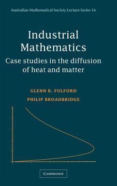 Industrial Mathematics - Fulford, Glenn R.; Broadbridge, Philip
