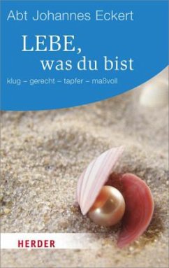 Cover Lebe, was du bist