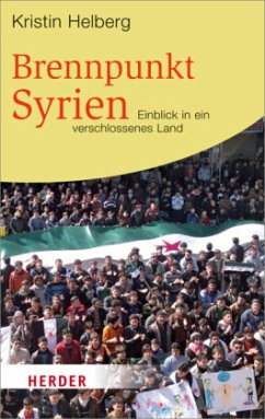 Brennpunkt Syrien - Helberg, Kristin