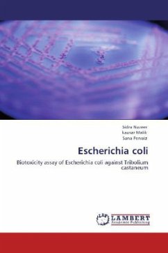 Escherichia coli