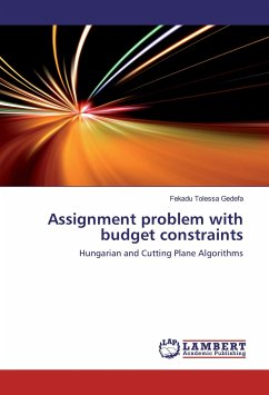 Assignment problem with budget constraints