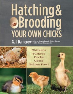 Hatching & Brooding Your Own Chicks - Damerow, Gail