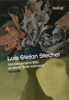 Vorübergehend Bild, zu ebner Erde wohnend - Stecher, Luis Stefan