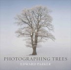 Photographing Trees