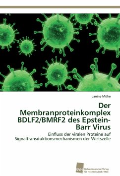 Der Membranproteinkomplex BDLF2/BMRF2 des Epstein-Barr Virus - Mühe, Janine