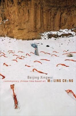 Beijing Xingwei Beijing Xingwei