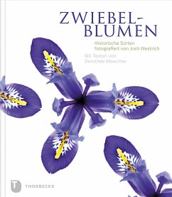 Zwiebelblumen