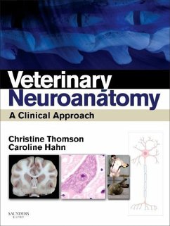 Veterinary Neuroanatomy - Thomson, Christine E;Hahn, Caroline