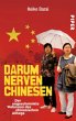 Darum nerven Chinesen - Bild 1