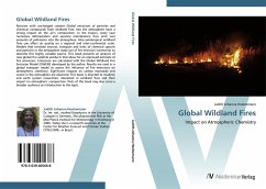 Global Wildland Fires - Hoelzemann, Judith Johanna