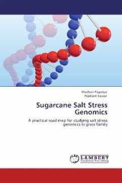 Sugarcane Salt Stress Genomics - Pagariya, Madhuri;Kawar, Prashant