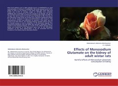 Effects of Monosodium Glutamate on the kidney of adult wistar rats