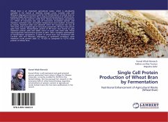 Single Cell Protein Production of Wheat Bran by Fermentation - Aftab Warraich, Komal;Younus, Fakhar-un-Nisa;Zafar, Wajeeha