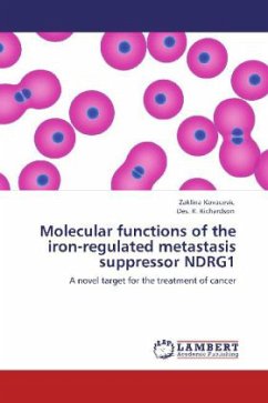 Molecular functions of the iron-regulated metastasis suppressor NDRG1