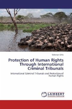 Cover Protection of Human Rights Through International Criminal Tribunals