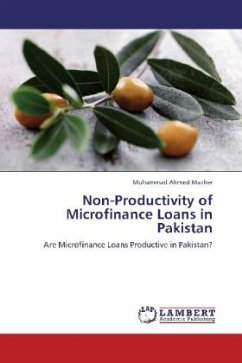 Non-Productivity of Microfinance Loans in Pakistan - Ahmed Mazher, Muhammad