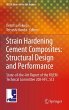 Strain Hardening Cement Composites:... - Bild 1