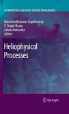 Heliophysical Processes