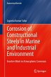 Corrosion of Constructional Steels in... - Bild 1