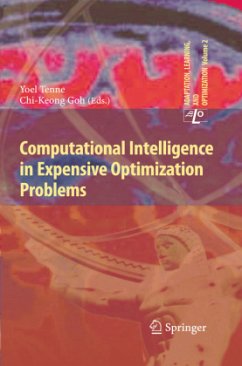 Computational Intelligence in Expensive Optimization Problems