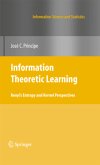 Information Theoretic Learning